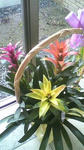 s-2010021112270000.jpg