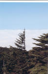 s-IMG_0020.jpg