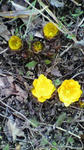 2010022114320001.jpg