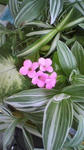 s-2010022609060000.jpg