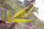 s-IMG_0031.jpg