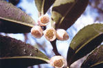 s-IMG_0033.jpg