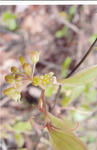 s-IMG_0028.jpg