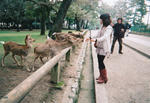 s-IMG_0038.jpg