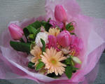 c18b9847.jpg