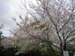 277708c8.jpg