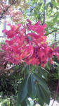 s-2010051515210000.jpg
