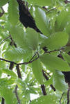 s-IMG_0073.jpg