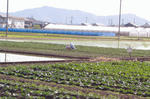 s-IMG_0061.jpg