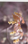 s-IMG_0039.jpg