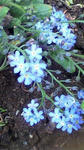 s-2010042911490000.jpg