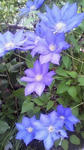 s-P1002282.jpg