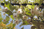 s-IMG_0017.jpg