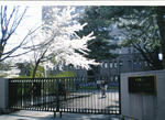 8a909ae6.jpg