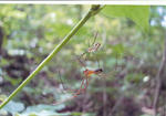 s-IMG_0030.jpg