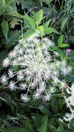s-2010080106150000.jpg