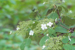 s-IMG_0094.jpg