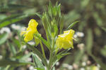 s-IMG_0098.jpg