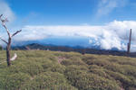 s-IMG_0156.jpg