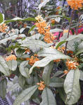 s-PB100032.jpg