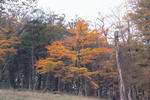 s-IMG_0086.jpg