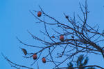 s-IMG_0085.jpg