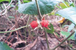 8d6a5443.jpg