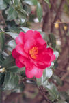 s-IMG_0044.jpg
