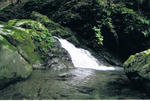 s-CCF20110217_00001.jpg