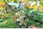 s-CCF20110217_00003.jpg