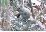 s-CCF20110219_00003.jpg