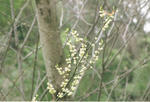 s-CCF20110422_00005.jpg
