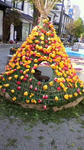 s-2011050408080000.jpg