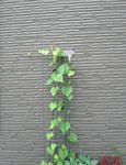 s-P6090010.jpg