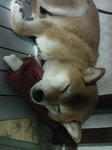 s-201107021540000.jpg