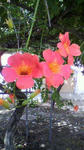 2011080108500000.jpg