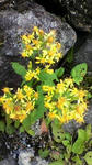 s-2011081713490001.jpg