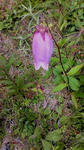 s-2011081713590000.jpg