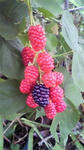s-2011081514440001.jpg