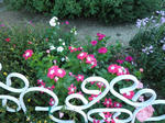 s-P9070116.jpg
