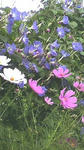 s-2011091113570000.jpg