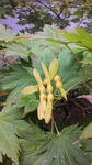 s-2011101510430000.jpg
