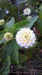 s-2011102915280001.jpg