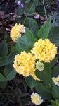 2011102915290000.jpg