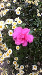 2011110513550002.jpg