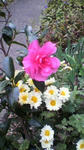 2011110513550001.jpg