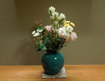 DSCN0365.jpg
