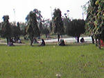 20091011_829222.jpg