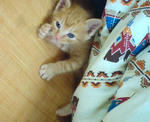 20100509145246.jpg