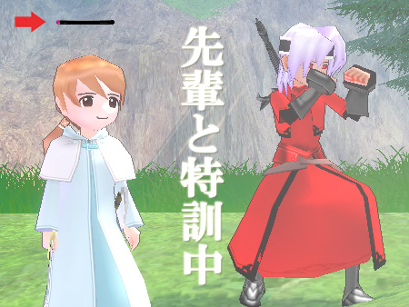 mabinogi マビノギ